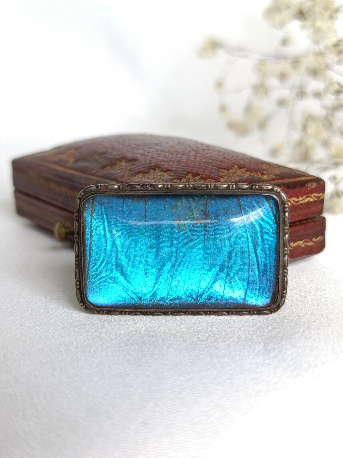 Antique 925 Sterling Silver Morpho Butterfly Wing Brooch