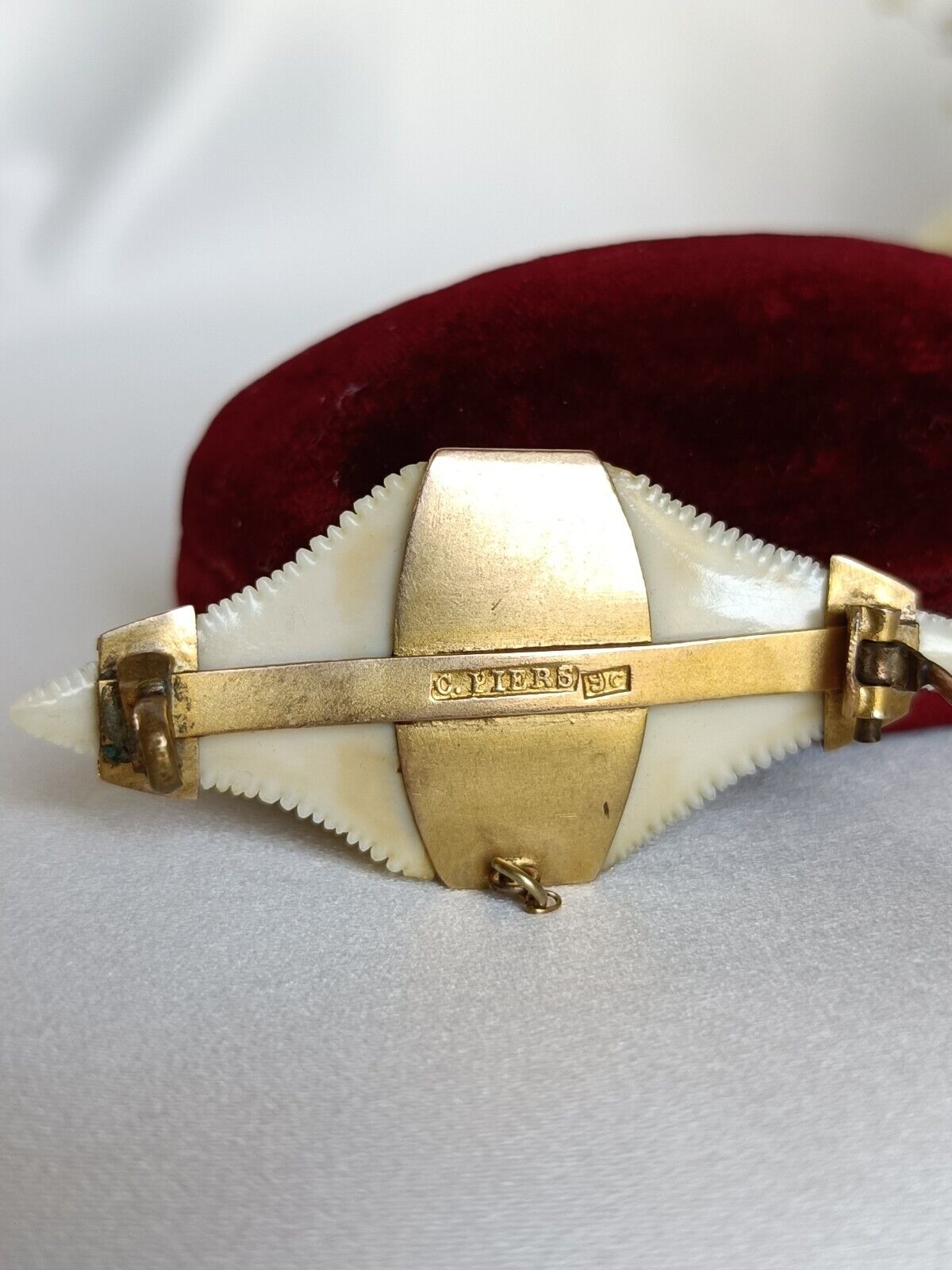 Antique Australian 9ct Gold & Garnet Double Shark tooth brooch