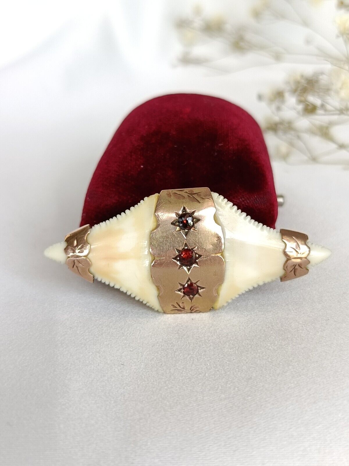 Multi Tooth Broach Antique Australian 9ct Gold & Garnet Double Shark tooth brooch – Athena ...